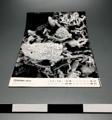 IMG_6160-001